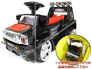 電動乗用カー 第9位 ZPV003R