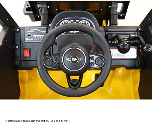 電動乗用カー 第10位 DLS08