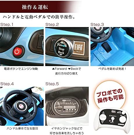 電動乗用カー 第12位 FIAT500