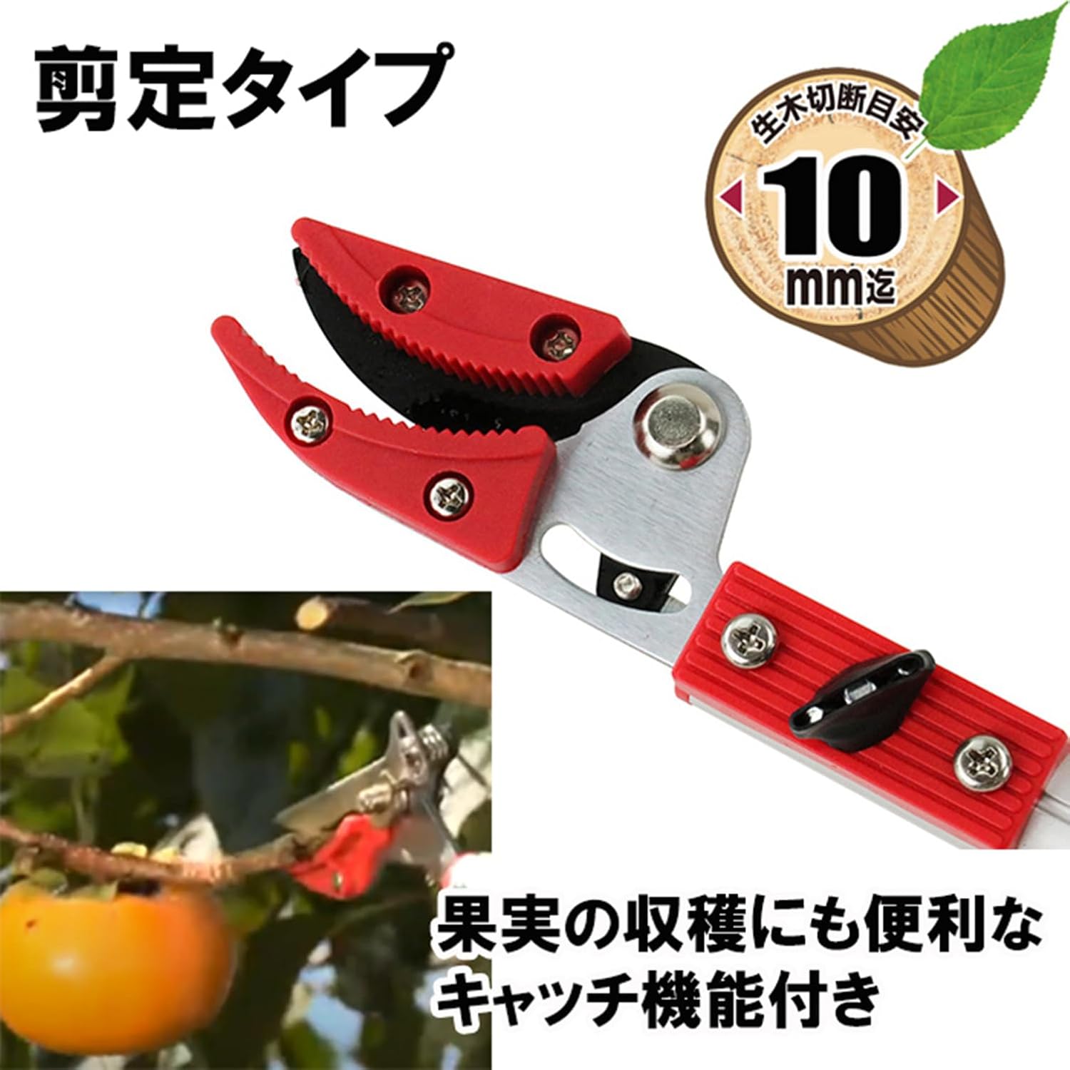 電動乗用バイク第1位 