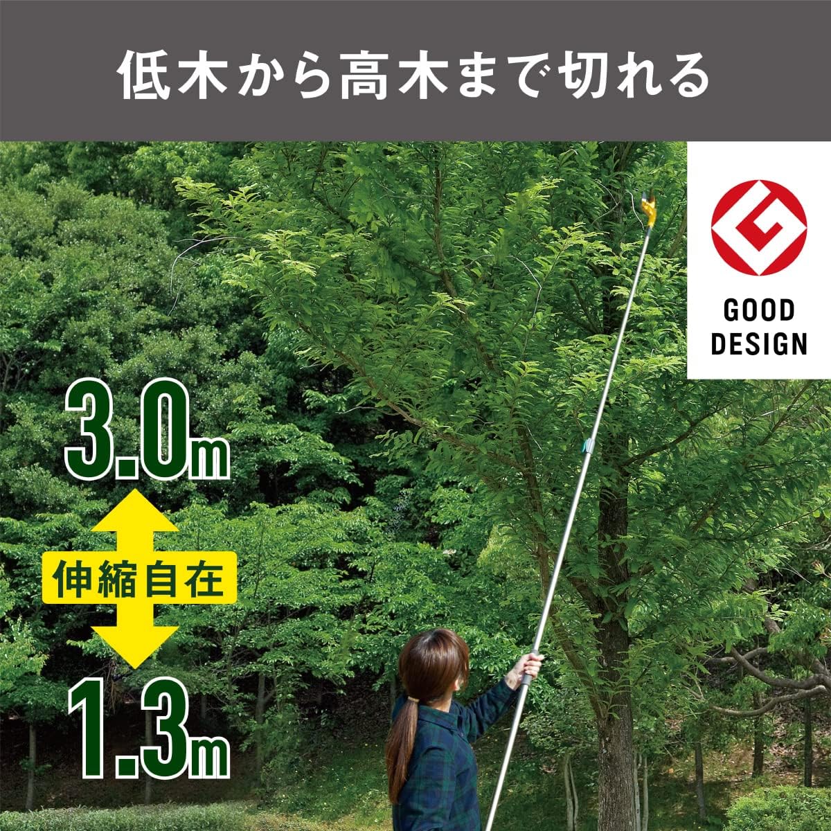 電動乗用バイク第1位 