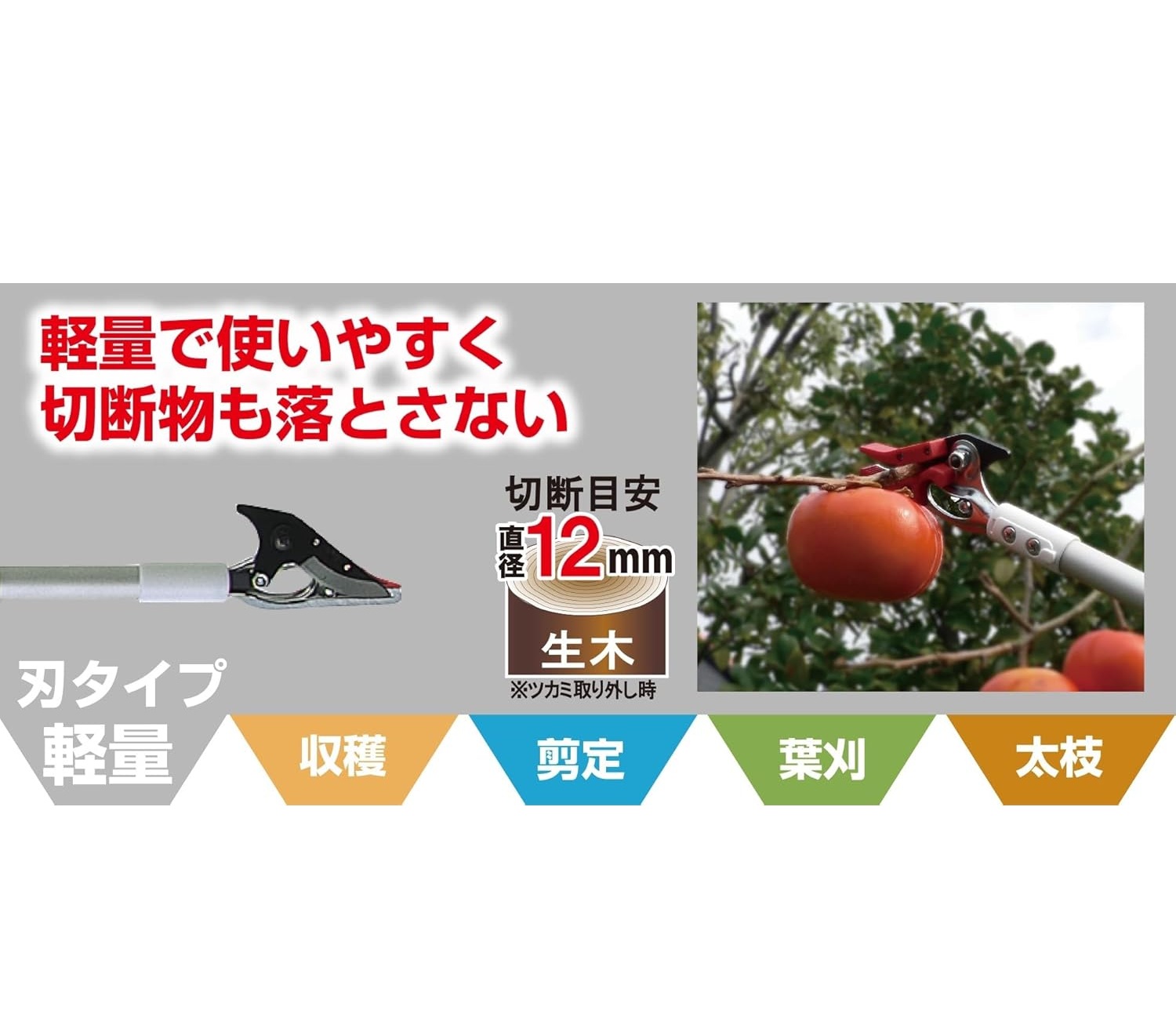 電動乗用バイク第1位 