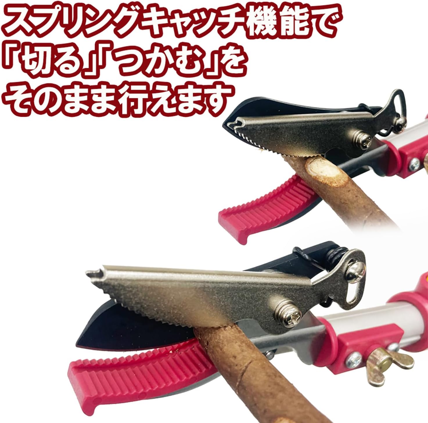 電動乗用バイク第1位 